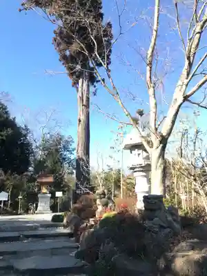 鶴峯八幡宮(千葉県)