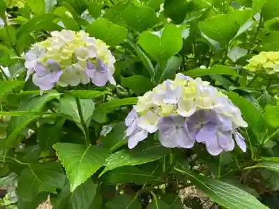 妙楽寺(神奈川県)