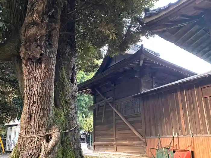 多気比売神社の本殿