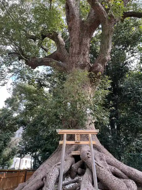 和泉國一之宮 大鳥大社(大阪府)