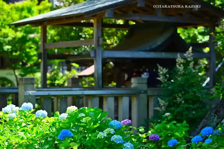白山神社(東京都)