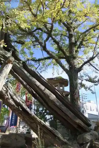 忌宮神社(山口県)