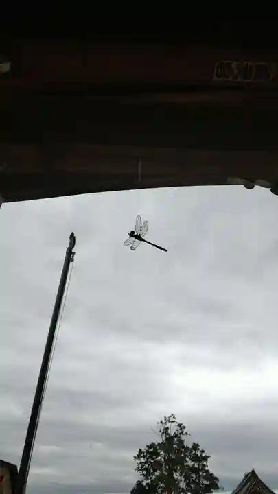 花山院菩提寺(兵庫県)