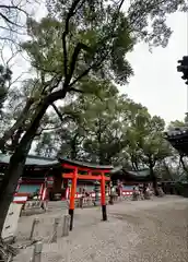 杭全神社(大阪府)