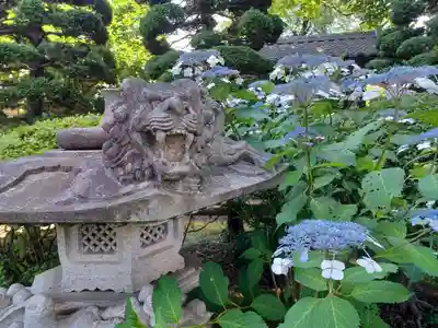 金剛院(埼玉県)