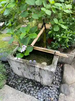 宝蔵寺の手水舎