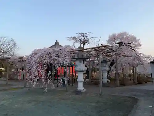 西光院（浄楽寺）のその他建物