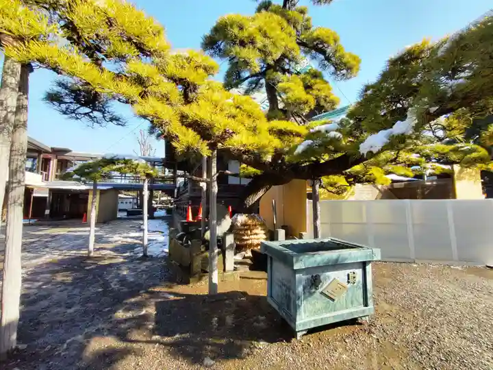 題経寺(柴又帝釈天)の自然