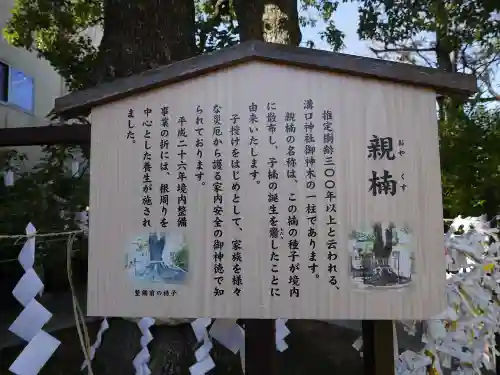 溝口神社の歴史