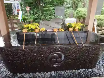 亀ケ池八幡宮(神奈川県)