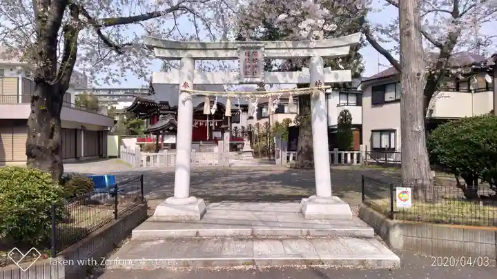 関根神社の鳥居