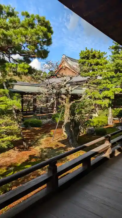 大覚寺(京都府)