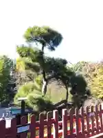 清水観音堂(東京都)