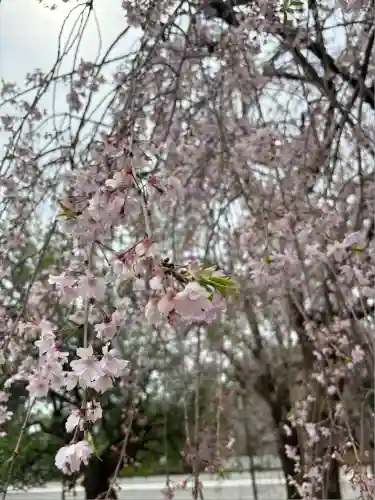 富山縣護國神社(富山県)