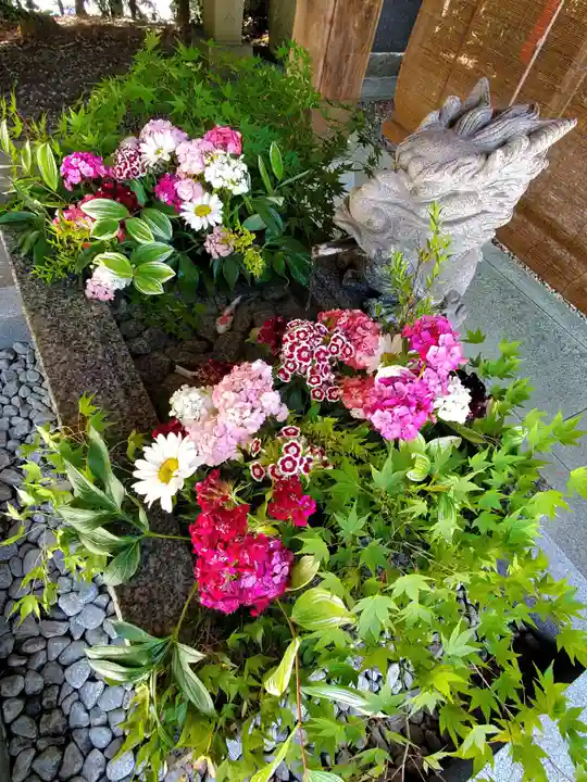 滑川神社 - 仕事と子どもの守り神の手水舎