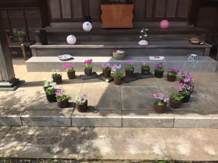 谷中 妙福寺(東京都)