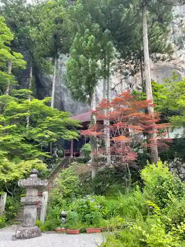 橋立堂(埼玉県)