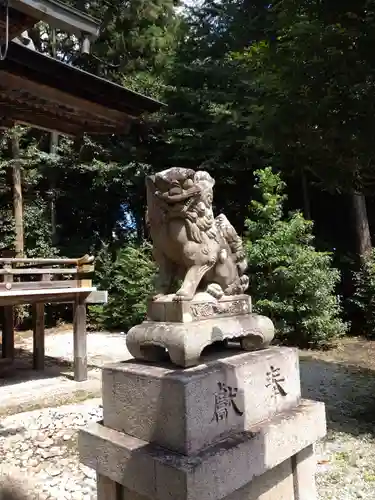柏木神社の狛犬
