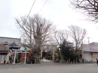 銚港神社の周辺