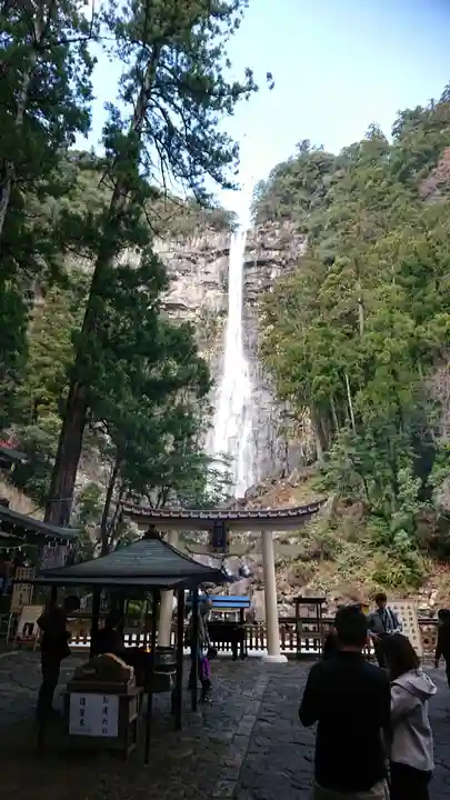 飛瀧神社(熊野那智大社別宮)の自然