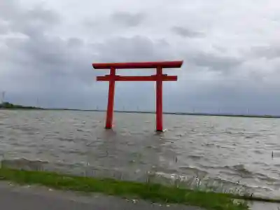 鹿島神宮の鳥居