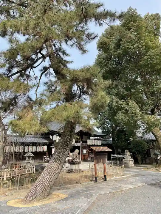 縣神社(京都府)