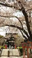 六孫王神社の建物その他