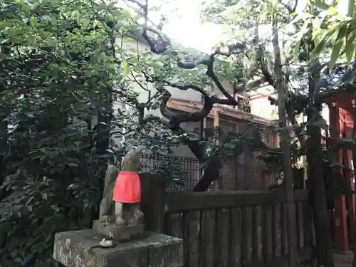 陽運寺の狛犬