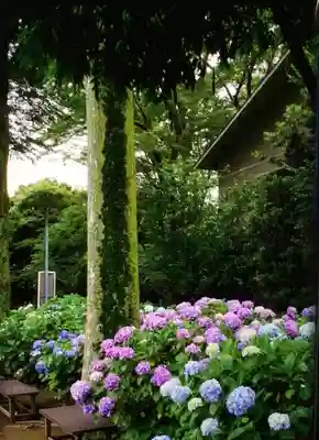 妙法寺(東京都)