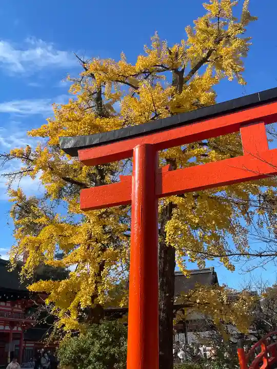 賀茂御祖神社(下鴨神社)(京都府)