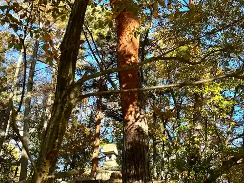 打越八幡社の本殿