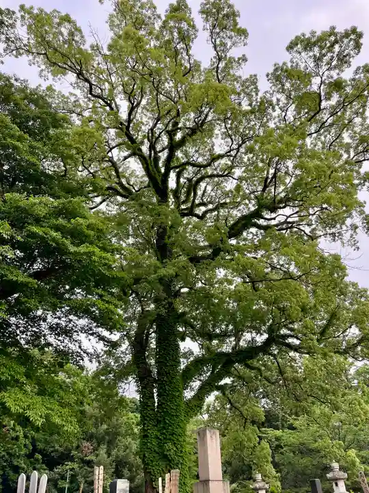 長生院(神奈川県)