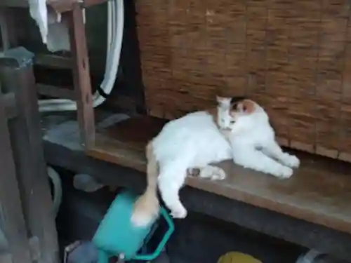 阿邪訶根神社(福島県)