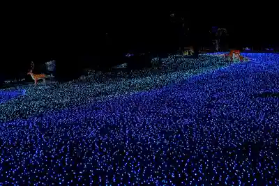 東大寺のお祭り