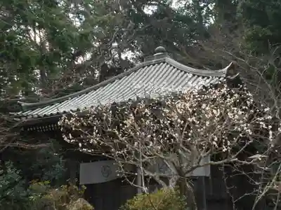 安國論寺（安国論寺）のその他建物