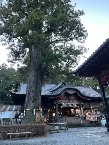 北口本宮冨士浅間神社の本殿