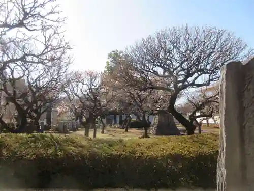 日曜寺(東京都)