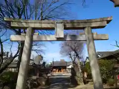 上戸田氷川神社の鳥居