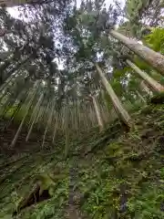 加蘇山神社 奥ノ宮の自然