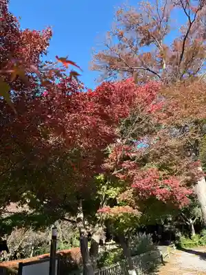 心行寺(神奈川県)