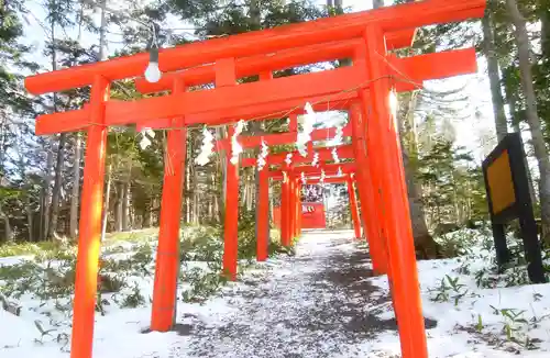 阿寒湖稲荷神社の鳥居