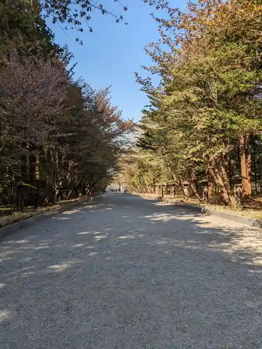 北海道神宮の景色