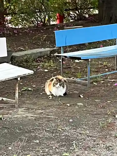 於菊稲荷神社(群馬県)