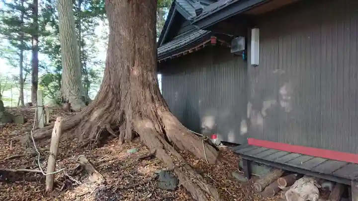 太神社の本殿・本堂