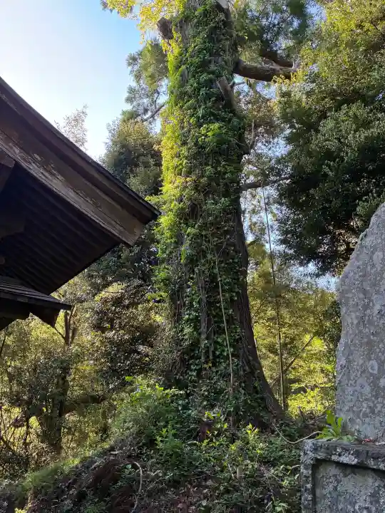 熊野神社の{uncategorized: "未分類", other: "その他", undefined: "問題あり", building: "その他建物", grave: "お墓", sacred_gate: "鳥居", guardian: "狛犬", statue: "像", buddha: "仏像", history: "歴史", nature: "自然", garden: "庭園", animal: "動物", pagoda: "塔", temizu: "手水舎", mountain_gate: "山門・神門", sanctuary: "本殿・本堂", subordinate: "末社・摂社", art: "芸術", scenery: "景色", jizo: "地蔵", ema: "絵馬", goshuin: "御朱印", omikuji: "おみくじ", items: "授与品その他", amulet: "お守り", goshuincho: "御朱印帳", eats: "食事", festival: "お祭り", votive_dance: "神楽", shichigosan: "七五三参", wedding: "結婚式", experience: "体験その他", initially: "初詣", around: "周辺", anti_infection: "感染症対策"}
