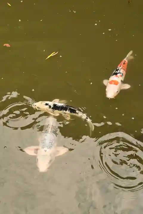 出雲大社北島国造館 出雲教(島根県)