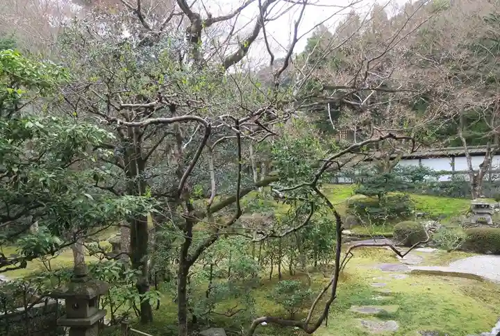 御寺 泉涌寺(京都府)