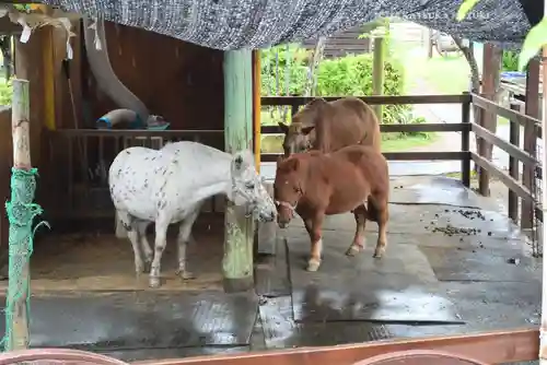 五方山熊野神社(東京都)