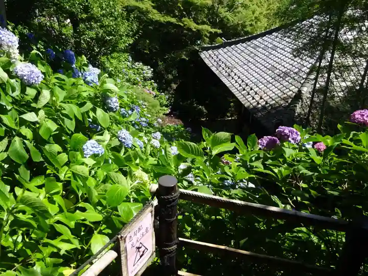 長谷寺のその他建物