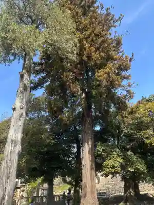 松江神社の{uncategorized: "未分類", other: "その他", undefined: "問題あり", building: "その他建物", grave: "お墓", sacred_gate: "鳥居", guardian: "狛犬", statue: "像", buddha: "仏像", history: "歴史", nature: "自然", garden: "庭園", animal: "動物", pagoda: "塔", temizu: "手水舎", mountain_gate: "山門・神門", sanctuary: "本殿・本堂", subordinate: "末社・摂社", art: "芸術", scenery: "景色", jizo: "地蔵", ema: "絵馬", goshuin: "御朱印", omikuji: "おみくじ", items: "授与品その他", amulet: "お守り", goshuincho: "御朱印帳", eats: "食事", festival: "お祭り", votive_dance: "神楽", shichigosan: "七五三参", wedding: "結婚式", experience: "体験その他", initially: "初詣", around: "周辺", anti_infection: "感染症対策"}